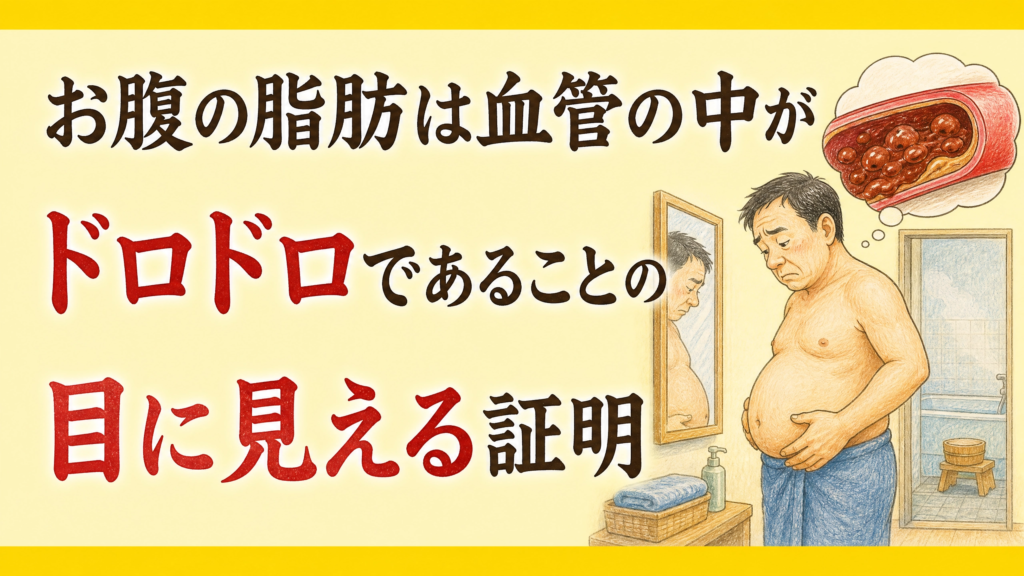 お腹の脂肪は血管の中がドロドロであることの目に見える証明